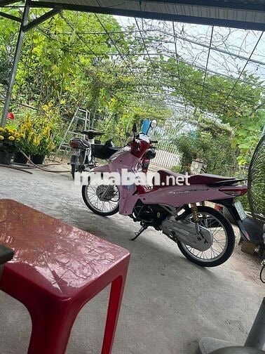 Honda Future Hồng