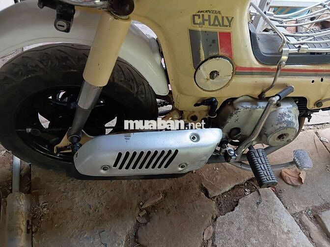Honda Chaly màu Vàng kem