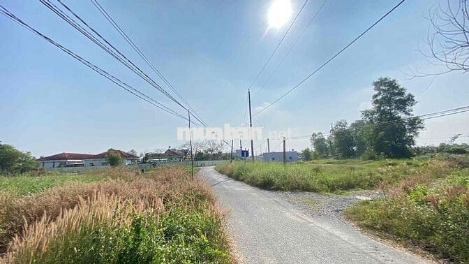 BÁN đất H.Bến Lức cũ, QH full ONT dt:1392m2 giá 3.75 tỷ TL nhanh