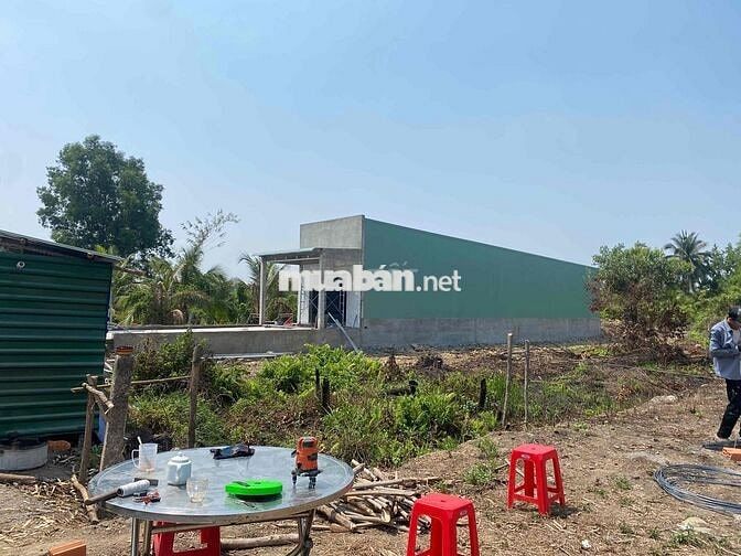 BÁN đất H.Bến Lức cũ, QH full ONT dt:1392m2 giá 3.75 tỷ TL nhanh