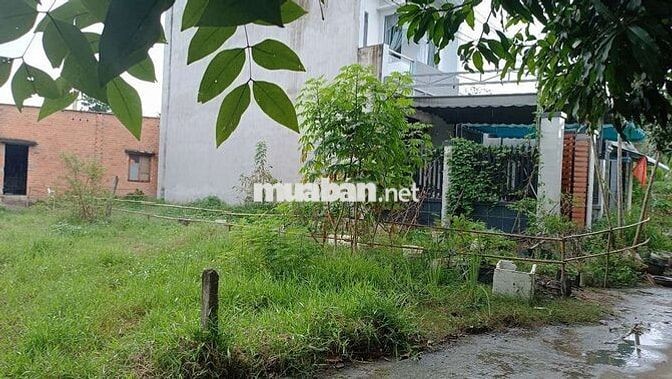 🏡 BÁN ĐẤT THỔ CƯ 97m² – TRẢNG BÀNG, TÂY NINH 🏡