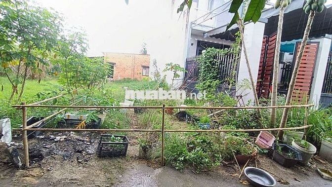 🏡 BÁN ĐẤT THỔ CƯ 97m² – TRẢNG BÀNG, TÂY NINH 🏡