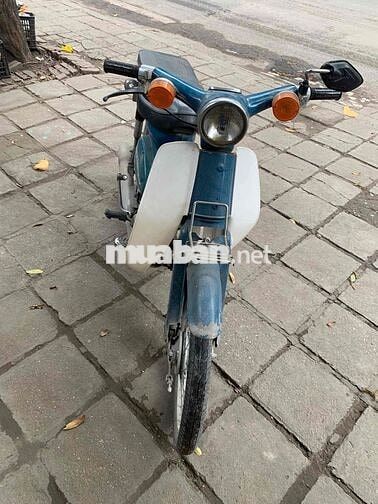 Honda Super Cub 50cc Xanh trắng