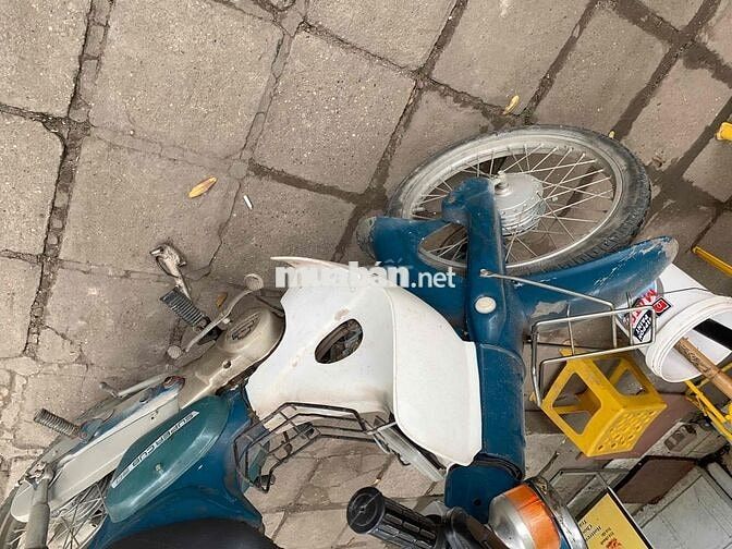 Honda Super Cub 50cc Xanh trắng