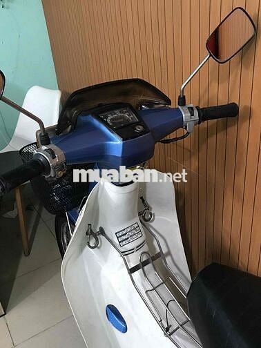 Honda Cub 84/50cc Xe siêu ngon . Bstp