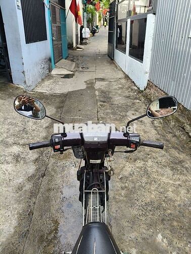 Honda Super Dream màu Tím