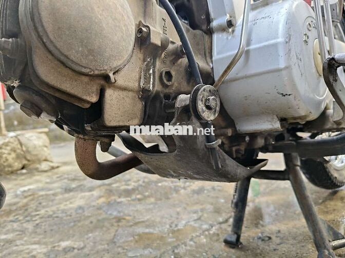 Honda Super Dream màu Tím