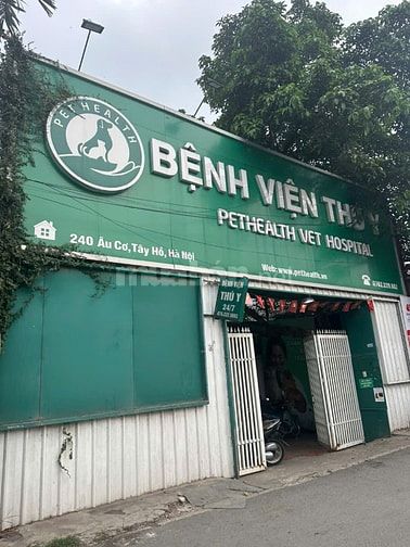 BÁN GẤP KHU QUẢNG AN TÂY HỒ KHÔNG QUY HOẠCH: 45M MẶT TIỀN 4,3M ~30 TỶ