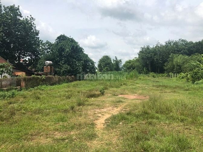 Bán lô đất 1 sẹc cách đường Hưng Thuận 100m, ngang 23.5m, có 400m đất 