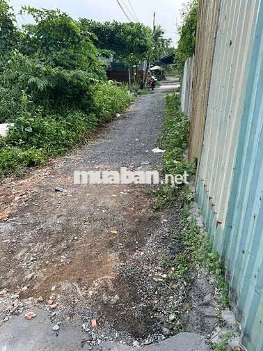 chính chủ cần bán đất trồng cây , 300m vuông, giá 1.5 ty, hh 50tr