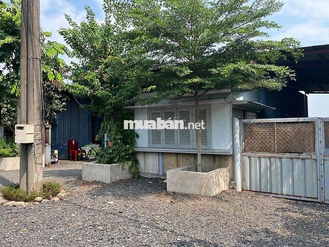 Cho thuê kho mặt tiền tỉnh lộ 8 củ chi