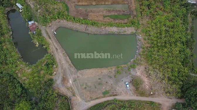 BÁN 4266M2 ĐẤT VƯỜN, GIÁ 3.5 TỶ, SỔ HỒNG CÔNG CHỨNG NGAY