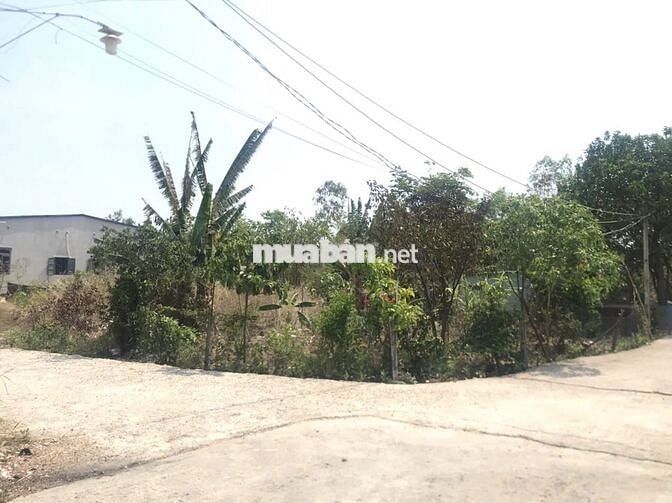 Ngộp Tiền Cần Bán Gấp 1.003m2 Đất Phú Mỹ 32 X 33 Có 100 Thổ 