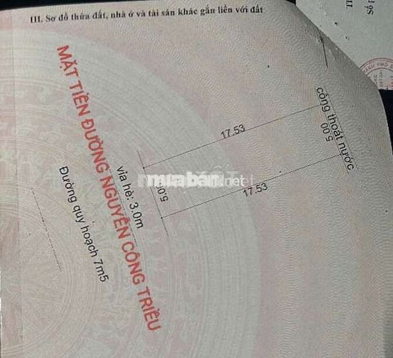 Chào bán lô đất mặt tiền Nguyễn Công Triều