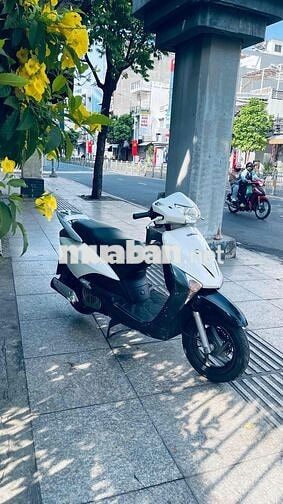 Honda SCR 2012 Trắng đen