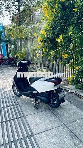Honda SCR 2012 Trắng đen