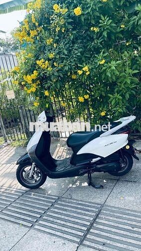 Honda SCR 2012 Trắng đen