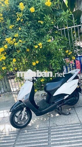 Honda SCR 2012 Trắng đen