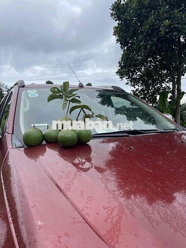 Ford XLT 2012 màu Đỏ