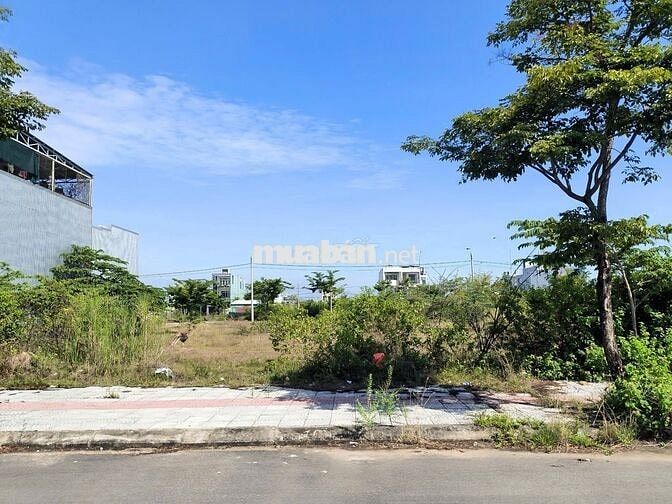 Cô Nhi Chính Chủ Bán Đất Nam Hòa Xuân Khu Đầm Sen B2.132 Giá 4 Tỷ