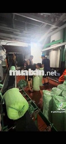 cần Tuyển 2 bạn Nam Lao động Phổ Thông