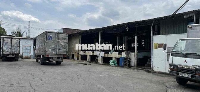 cần Tuyển 2 bạn Nam Lao động Phổ Thông