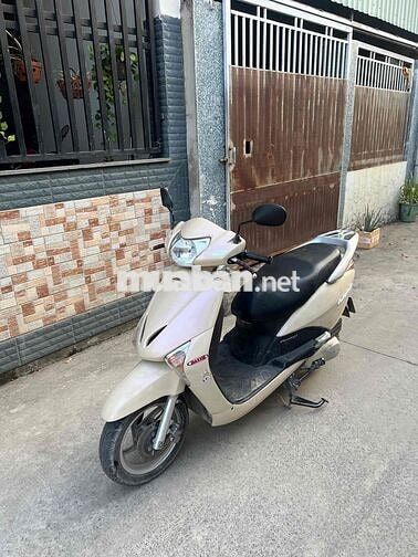 Honda Lead Vàng kem