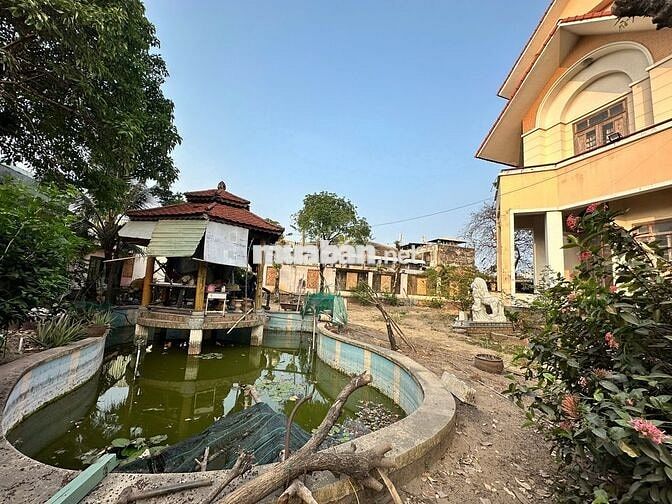 Mặt bằng 2.000m² tại An Phú Đông 9