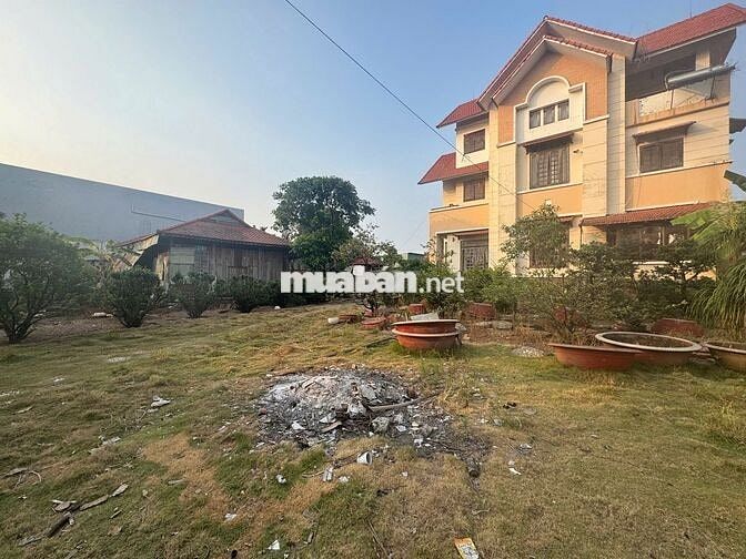 Mặt bằng 2.000m² tại An Phú Đông 9