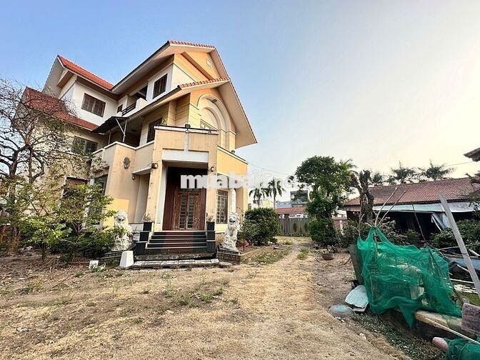 Mặt bằng 2.000m² tại An Phú Đông 9