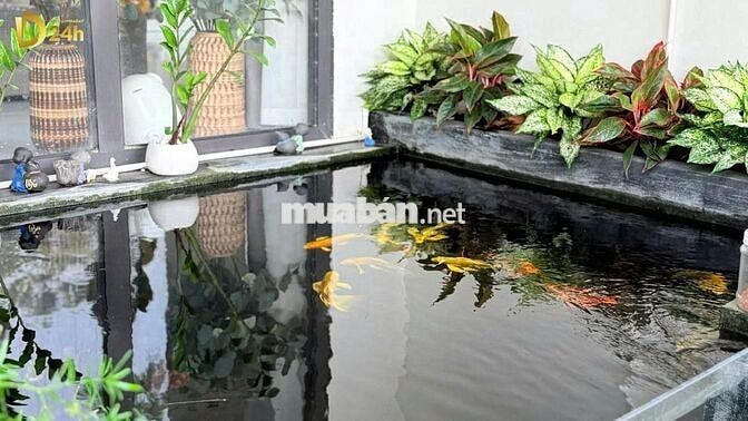 NHÀ 3 TẦNG FULL NỘI THẤT, 3 MẶT TIỀN ĐƯỜNG ROYAL PARK HUẾ ĐÃ CÓ SỔ