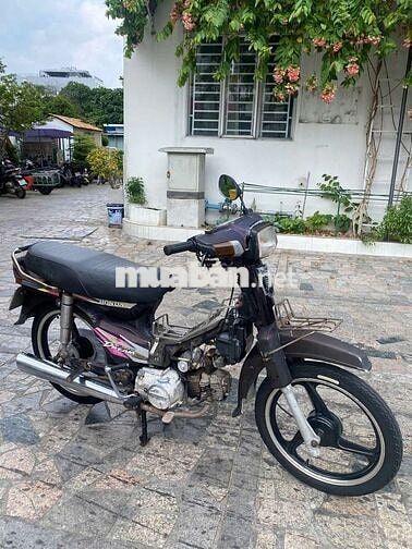 xe dream hàn quốc