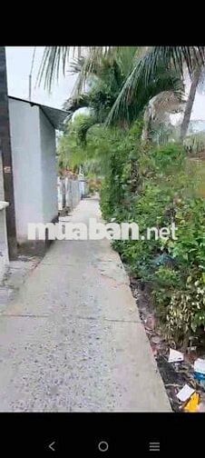 BÁN VƯỜN TẶNG NHÀ TRUNG TÂM TX BÌNH MÌNH CẬU CẦN THO