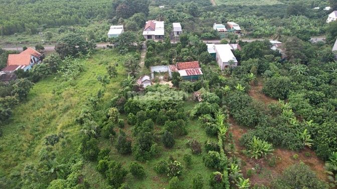 BÁN NHÀ VƯỜN CÂY 2 MT ĐT 746 VÀ SÔNG ĐỒNG NAY CỰC THOÁNG MÁI GIÁ TỐT