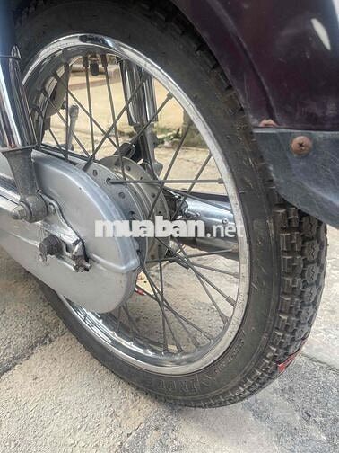 Honda Super Dream 2011 Nâu trắng