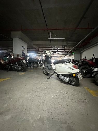 Xe máy xăng CC50 cần bán lại cho người có nhu cầu 