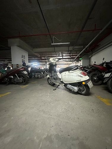 Xe máy xăng CC50 cần bán lại cho người có nhu cầu 