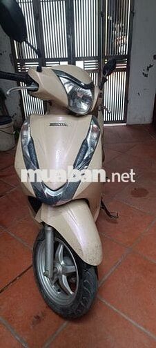 Honda Xe máy 2013 Vàng kem