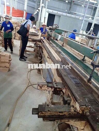 CẦN TUYỂN LĐPT - CTY GỖ NỘI THẤT - LƯƠNG TUẦN