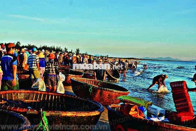 Đất mặt tiền đường Thanh Niên 39m, view biển Bình Nam, Thăng Bình