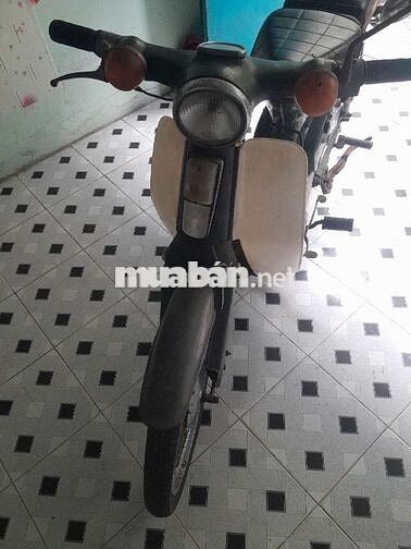 Honda Super Cub Xanh lá
