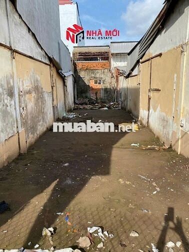 Nền Giá rẻ p5 Cà Mau Lê Đại Hành