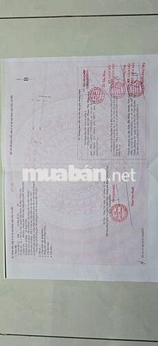 Quá Rẻ Cho Lô Đất 10 X 50 TC 40 Giá Chỉ 1.2 tỷ( Sát Ủy Ban Tóc Tiên)