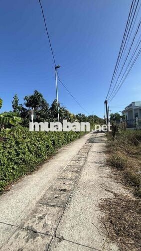 ĐẤT Ở THỔ CƯ FULL tại Tam An, Long Điền