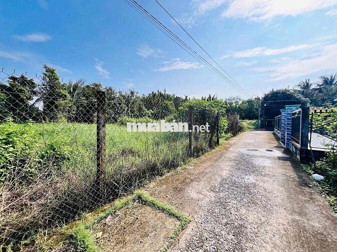 Đất 1029m² (600m thổ) P5 Tân An – ô tô tới đất – giá 4,5 tỷ T