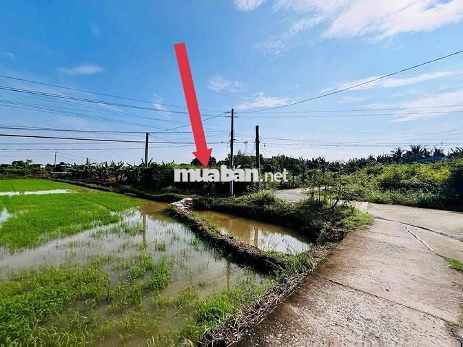 Đất 1029m² (600m thổ) P5 Tân An – ô tô tới đất – giá 4,5 tỷ T