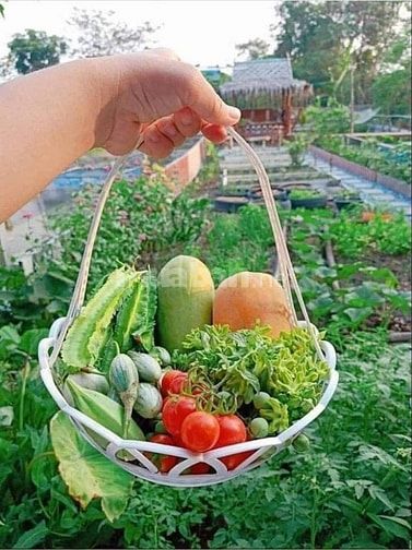 Cần tiền kinh doanh bán gấp đừờng nhựa 