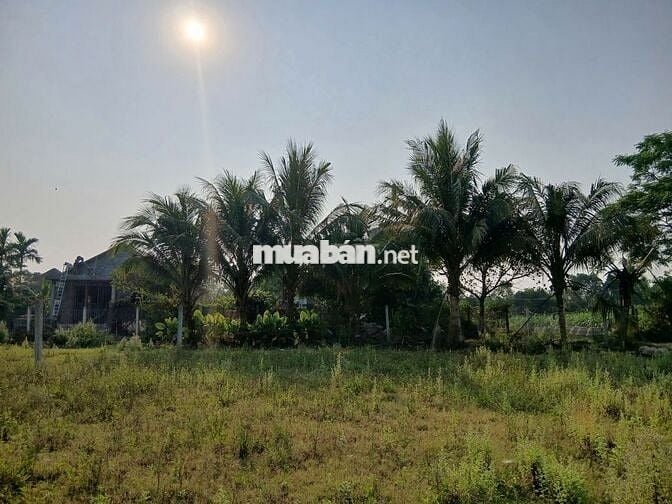 616m2 đất ở 337m2 Ngang 25m đường ô tô cách bến xe Đức Long 3 km 