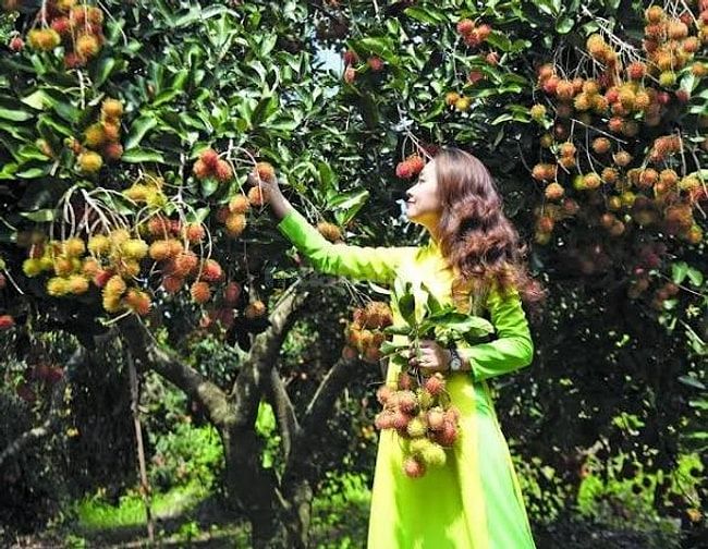 Cần tiền kinh doanh bán gấp đừờng nhựa 