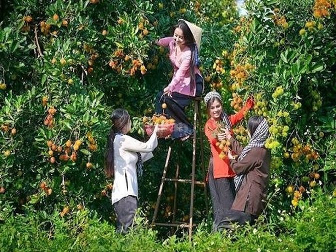 Cần tiền kinh doanh bán gấp đừờng nhựa 
